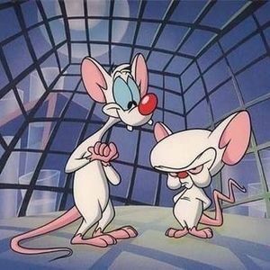 Meet your Posher, Taz